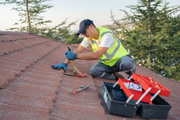 Best Roof Gutter Cleaning  in Mather, CA